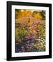 Adobe Compound Garden-William Hook-Framed Art Print