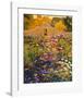 Adobe Compound Garden-William Hook-Framed Art Print