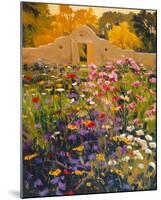 Adobe Compound Garden-William Hook-Mounted Art Print