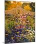 Adobe Compound Garden-William Hook-Mounted Art Print