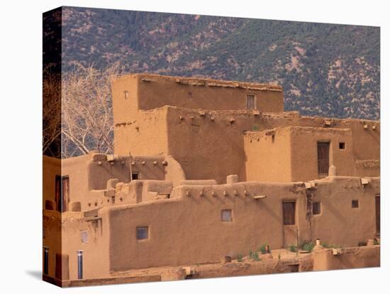 Adobe Detail, Taos Pueblo, Rio Grande Valley, New Mexico, USA-Art Wolfe-Stretched Canvas