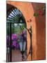 Adobe House Entry, Puerto Vallarta, Mexico-John & Lisa Merrill-Mounted Premium Photographic Print