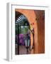 Adobe House Entry, Puerto Vallarta, Mexico-John & Lisa Merrill-Framed Photographic Print