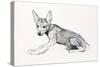 Adolescent Arabian Wolf Pup, 2009-Mark Adlington-Stretched Canvas