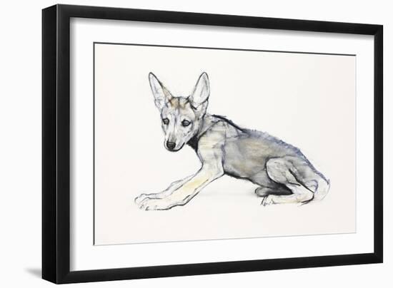 Adolescent Arabian Wolf Pup, 2009-Mark Adlington-Framed Giclee Print