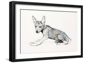 Adolescent Arabian Wolf Pup, 2009-Mark Adlington-Framed Giclee Print