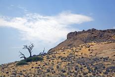 Extensive Wild Scenery on the Khumib-Dry River, Namibia, Panorama-Adolf Martens-Stretched Canvas