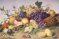 Still Life of Grapes, Pineapple, Figs and Pomegranates-Adolf Senff-Stretched Canvas