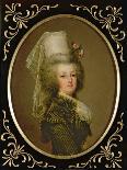 Archduchess Marie Antoinette Habsburg-Lothringen (1755-93)-Adolf Ulrich Wertmuller-Giclee Print