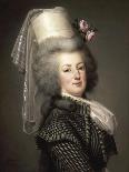 Portrait of Queen Marie Antoinette of France (1755-179), 1789-Adolf Ulrik Wertmüller-Giclee Print