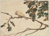 Canary on an Oak Tree Branch-Adolph Freidrich Erdmann Von Menzel-Giclee Print