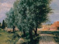 Building Site with Willows, 1846-Adolph Friedrich von Menzel-Giclee Print