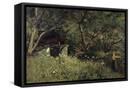 Canvas Black