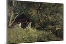 Wood Mount