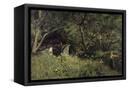 Canvas Black