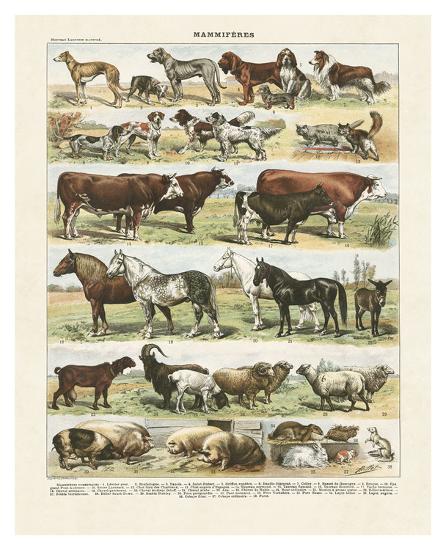 Art Print, , large