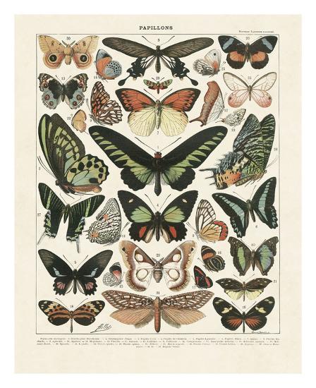Art Print, , large
