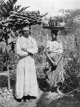 Native Huts, Jamaica, C1905-Adolphe & Son Duperly-Giclee Print