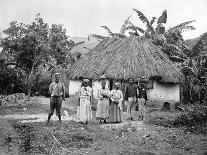 Picking Coconuts, Jamaica, C1905-Adolphe & Son Duperly-Giclee Print