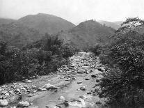 Banana Plantation, Jamaica, C1905-Adolphe & Son Duperly-Giclee Print