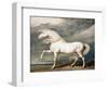 Adonis, King George III's Favourite Charger-James Ward-Framed Giclee Print