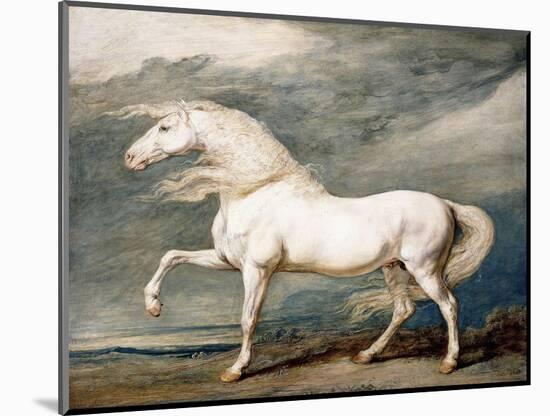 Adonis, King George III's Favourite Charger-James Ward-Mounted Giclee Print