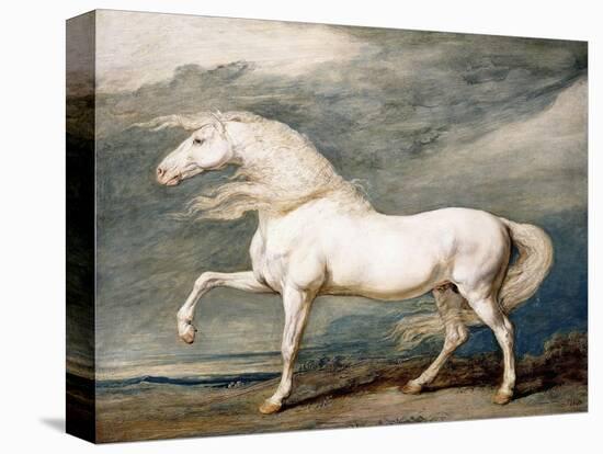 Adonis, King George III's Favourite Charger-James Ward-Stretched Canvas