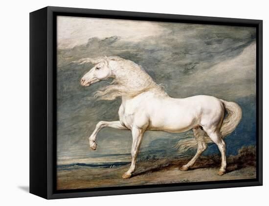 Adonis, King George III's Favourite Charger-James Ward-Framed Stretched Canvas