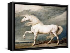 Adonis, King George III's Favourite Charger-James Ward-Framed Stretched Canvas