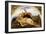 Adonis Wounded-Briton Rivière-Framed Giclee Print