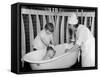 Adoption Society Bath-null-Framed Stretched Canvas