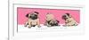 Adorable Beige Pug Puppies on a Pink Background. Humor Set, Hand Drawn Style Print. Vector Illustra-null-Framed Art Print