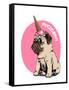 Adorable Beige Puppy Pug in a Ice Cream Party Cap on a Pink Background. Pugicorn - Lettering Quote.-null-Framed Stretched Canvas