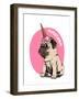 Adorable Beige Puppy Pug in a Ice Cream Party Cap on a Pink Background. Pugicorn - Lettering Quote.-null-Framed Art Print