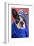 Adorable French Bulldog Wearing Blue Shirt On Brown Background-Patryk Kosmider-Framed Photographic Print