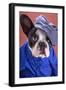 Adorable French Bulldog Wearing Blue Shirt On Brown Background-Patryk Kosmider-Framed Photographic Print