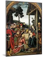 Adoration of Magi, 1476-Pietro Perugino-Mounted Giclee Print