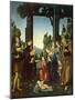 Adoration of the Child (Adorazione Del Bambino)-Lorenzo di Credi-Mounted Giclee Print