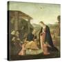 Adoration of the Christ Child-Jacopo Del Sellaio-Stretched Canvas