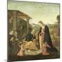 Adoration of the Christ Child-Jacopo Del Sellaio-Mounted Art Print