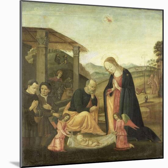 Adoration of the Christ Child-Jacopo Del Sellaio-Mounted Art Print
