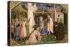 Adoration of the Magi, from the Predella of the Annunciation Altarpiece, c.1430-32-Fra Angelico-Stretched Canvas