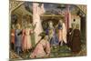 Adoration of the Magi, from the Predella of the Annunciation Altarpiece, c.1430-32-Fra Angelico-Mounted Giclee Print