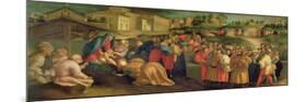 Adoration of the Magi-Jacopo da Carucci Pontormo-Mounted Giclee Print