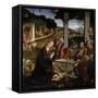 Adoration of the Shepherds-null-Framed Stretched Canvas