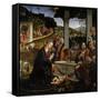 Adoration of the Shepherds-null-Framed Stretched Canvas