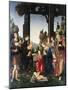 Adoration of the Shepherds-Lorenzo di Credi-Mounted Giclee Print