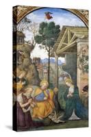 Adoration of the Shepherds-Bernardino di Betto Pinturicchio-Stretched Canvas