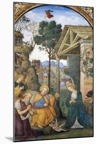 Adoration of the Shepherds-Bernardino di Betto Pinturicchio-Mounted Giclee Print