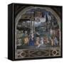 Adoration of the Shepherds-Bernardino di Betto Pinturicchio-Framed Stretched Canvas